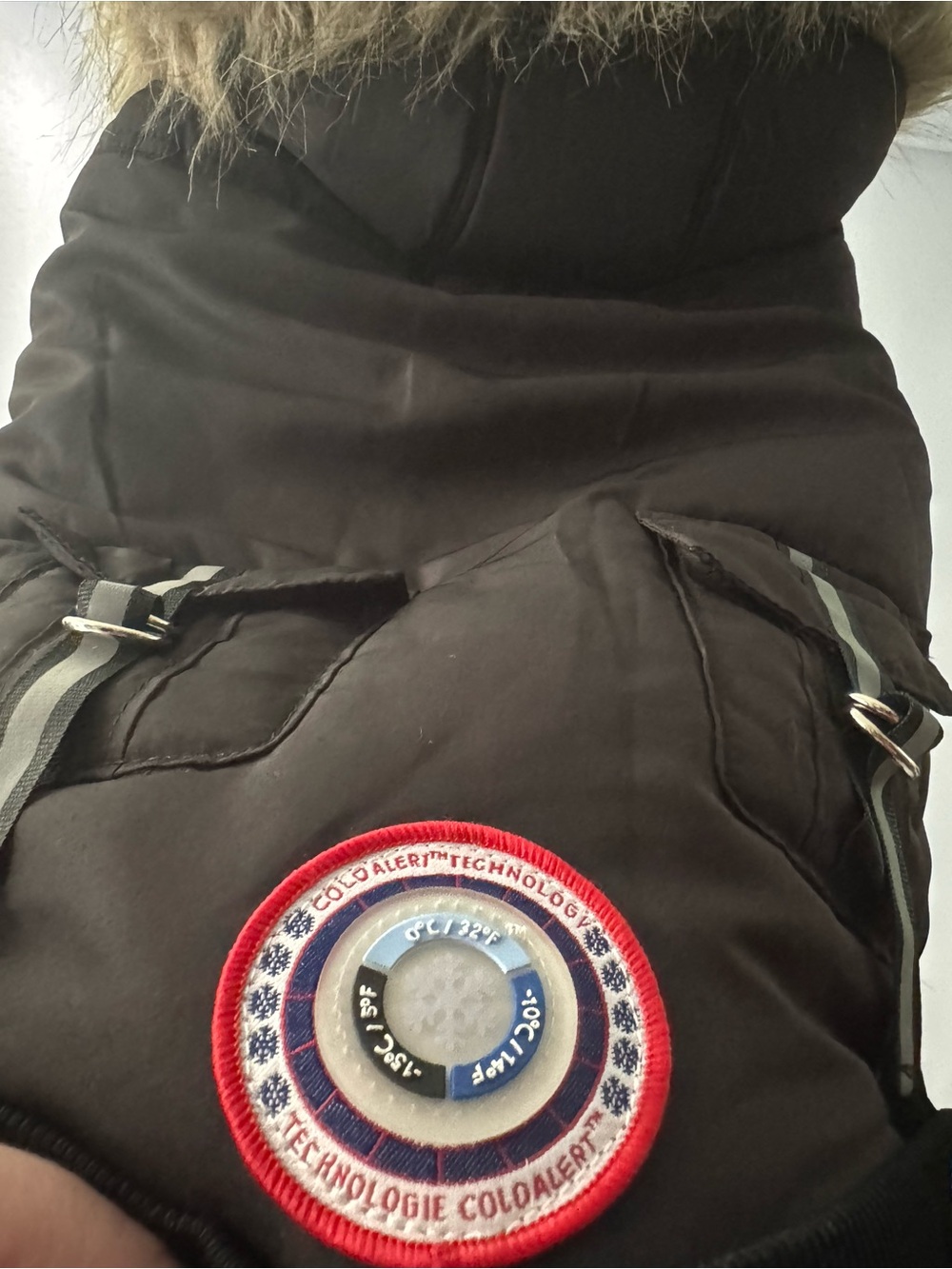 Black Puffer Jacket with Round Insulated Tech Patch